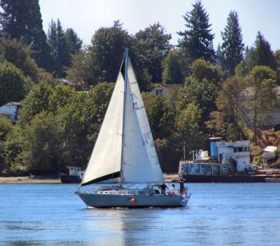 Sailboat at Lebo Park