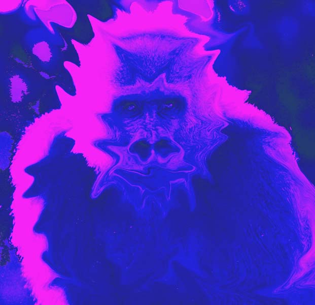 San Diego Zoo - PhotoShop Primate