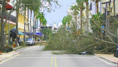 Wilma - DownTown - Clematis St.