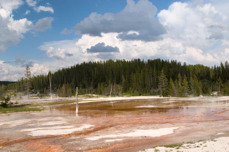 CRW_4976.jpg