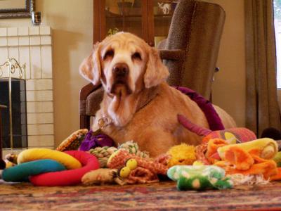 Queen Zoe -- October 1990--June 2006