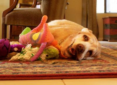 Tuckered Out