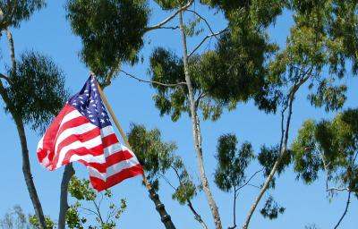 v3/22/484422/3/45788852.4thofJulyFlag.jpg