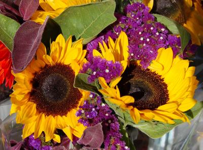 Sunflower Bunch