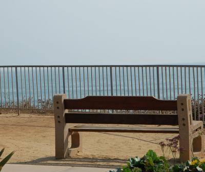 Bench with a View