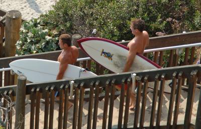 Surfs Up!