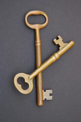 v3/22/484422/3/48663734.skeletonkey1.jpg