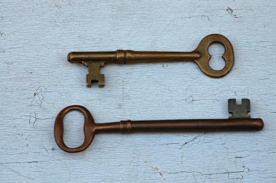 v3/22/484422/3/48663735.skeletonkey2.jpg