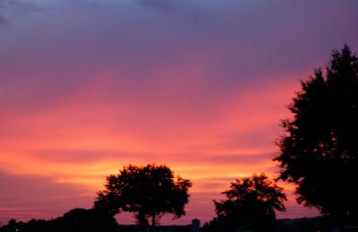 v3/22/484422/3/48664073.OrlandoSunset.jpg