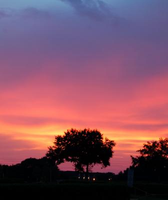 v3/22/484422/3/48664621.OrlandoSunset2_edited1.jpg