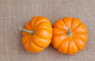 v3/22/484422/3/49742142.TwoMiniPumpkins.jpg