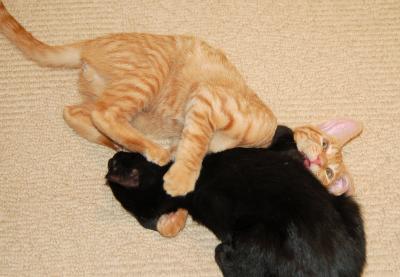 Playtime!