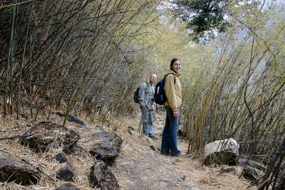 meine Wanderkameraden / my hiking fellows