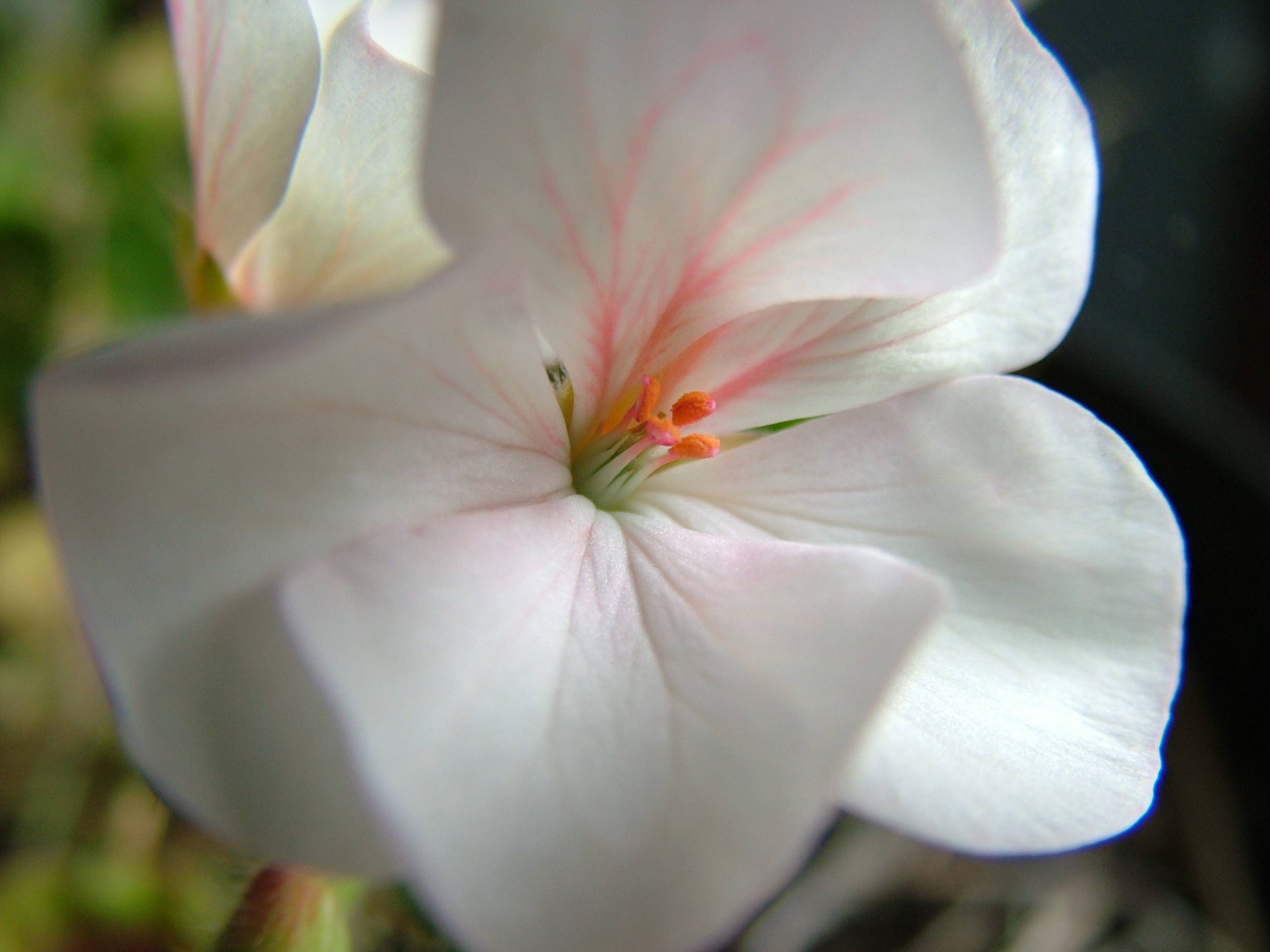 DSCF6329.JPG