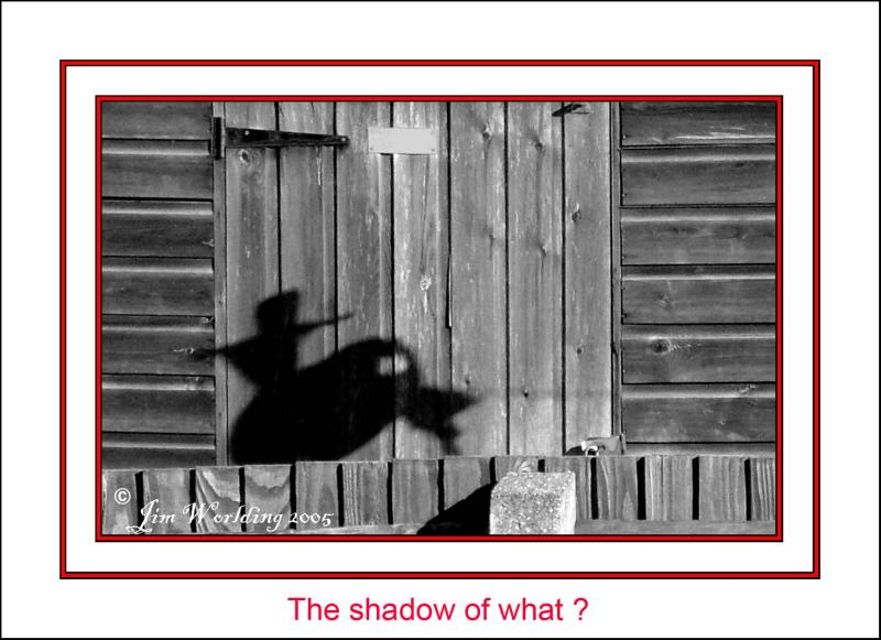 THE SHADOW OF...........?