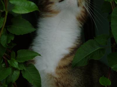 WHATS UP?