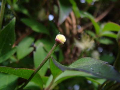 DSCF6683.JPG