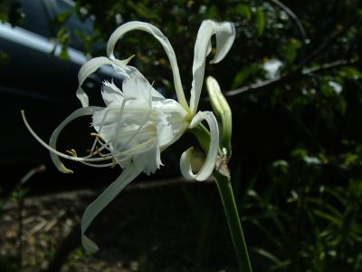 DSCF6984.JPG