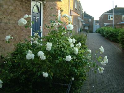 DSCF7333.JPG