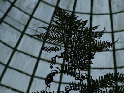 DSCF7128.JPG