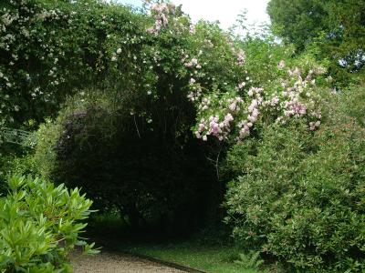 DSCF7168.JPG