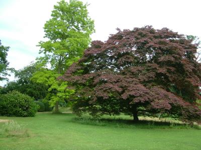 DSCF7169.JPG