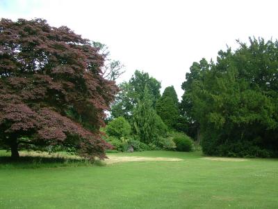 DSCF7170.JPG