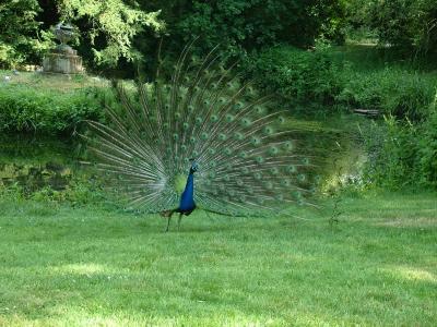 DSCF7270.JPG