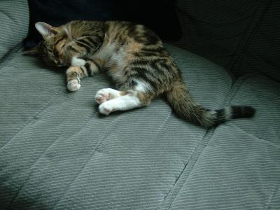 TOTALY OUT