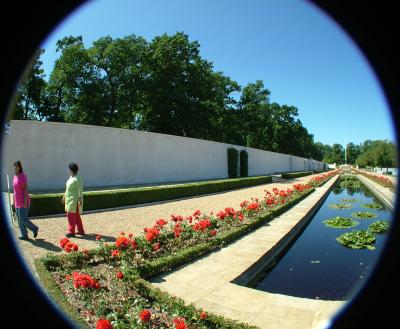 AWGC - FISHEYE