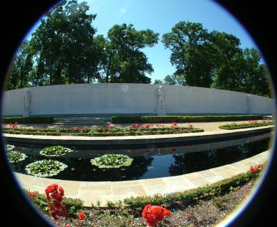 AWGC - FISHEYE