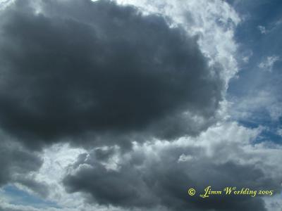 DSCF9296s.jpg