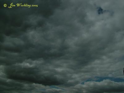 DSCF9320s.jpg