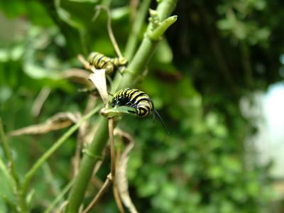 DSCF7741.JPG