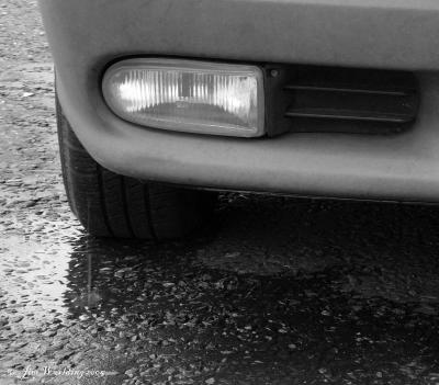WILL YOU TELL THE DRIVER?