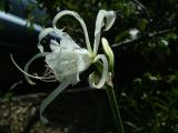 DSCF6984.JPG