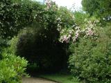 DSCF7168.JPG