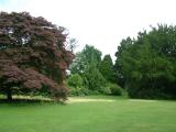 DSCF7170.JPG