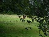 DSCF7183.JPG