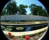 AWGC - FISHEYE