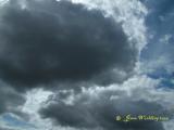 DSCF9296s.jpg