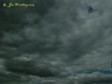 DSCF9320s.jpg