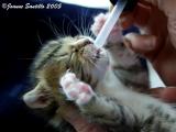 ME FEEDING WIMPY