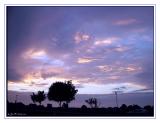 EARLY MORNING SKY