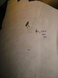 GRAFFITI RULES OK