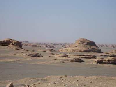 v3/22/516422/3/51190719.TheGobi4.jpg