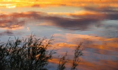 Reflections of Gold