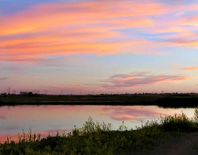 Duck Pond at Dusk