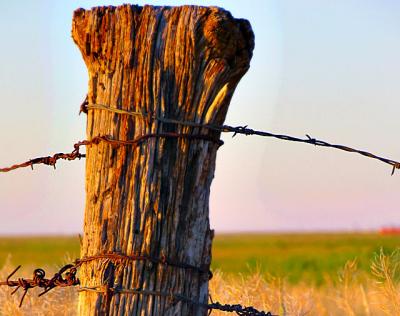 Beyond The Barbed Wire Fence