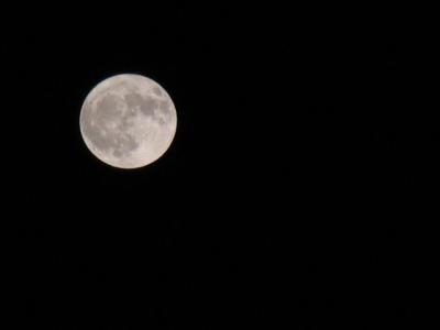 The Earth will be o'er watched tonight
By the old man in the moon 
He peeks through the trees 
At all he sees 
As he whispers Claire de Lune
-from Eventide, S.Sparks